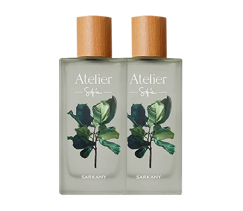 COMBO MAYORISTA 2XSOFIA ATELIER A01 FEM X100V EDP